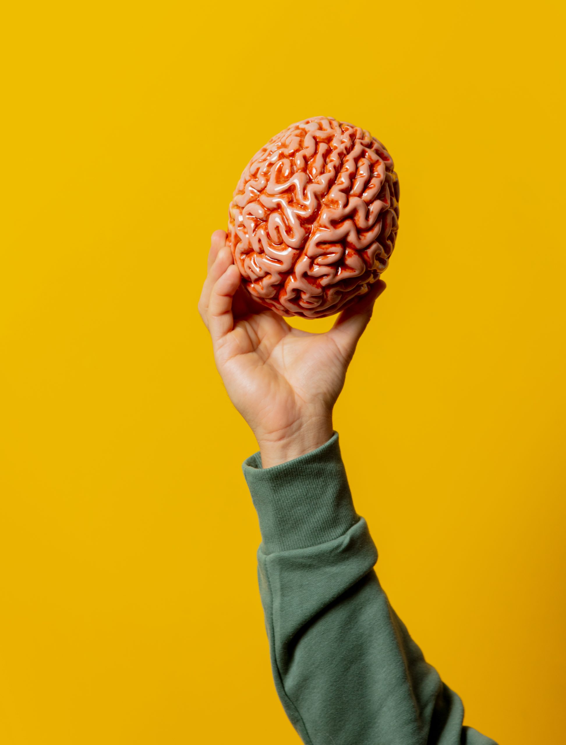 Male hand holds human brain on yellow background